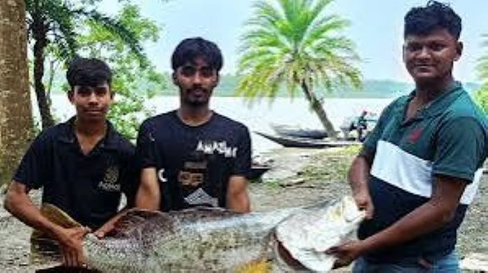 সুন্দরবনে জেলের জালে ২০ কেজির কোরাল